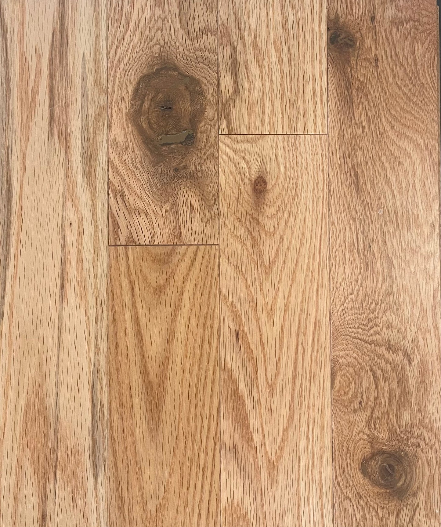 Red Oak Character